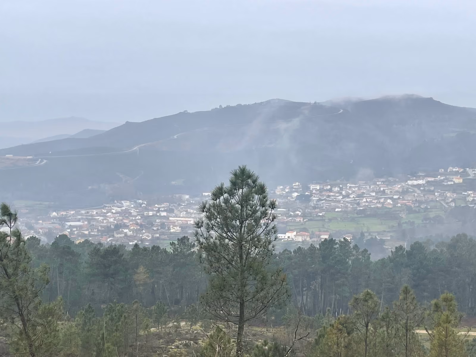 The Barroso uplands of northern Portugal, a village in the valley below wooded hills